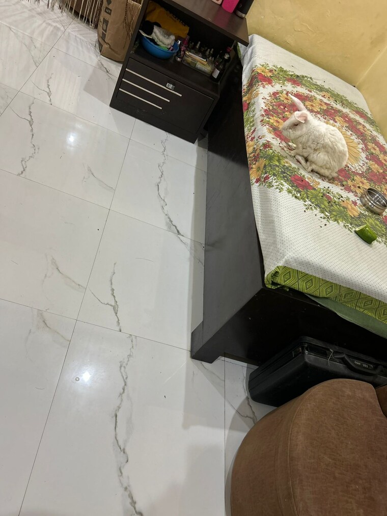 Other, sultanpur road 2 Bedroom 1000 Sq.Ft. Independent House In Sultanpur Road Lucknow 8757085