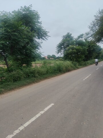 Plot Area in  Plot at Badli  – for Sale