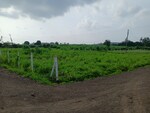 760 Sq.Yd. Plot in Riyan Estate