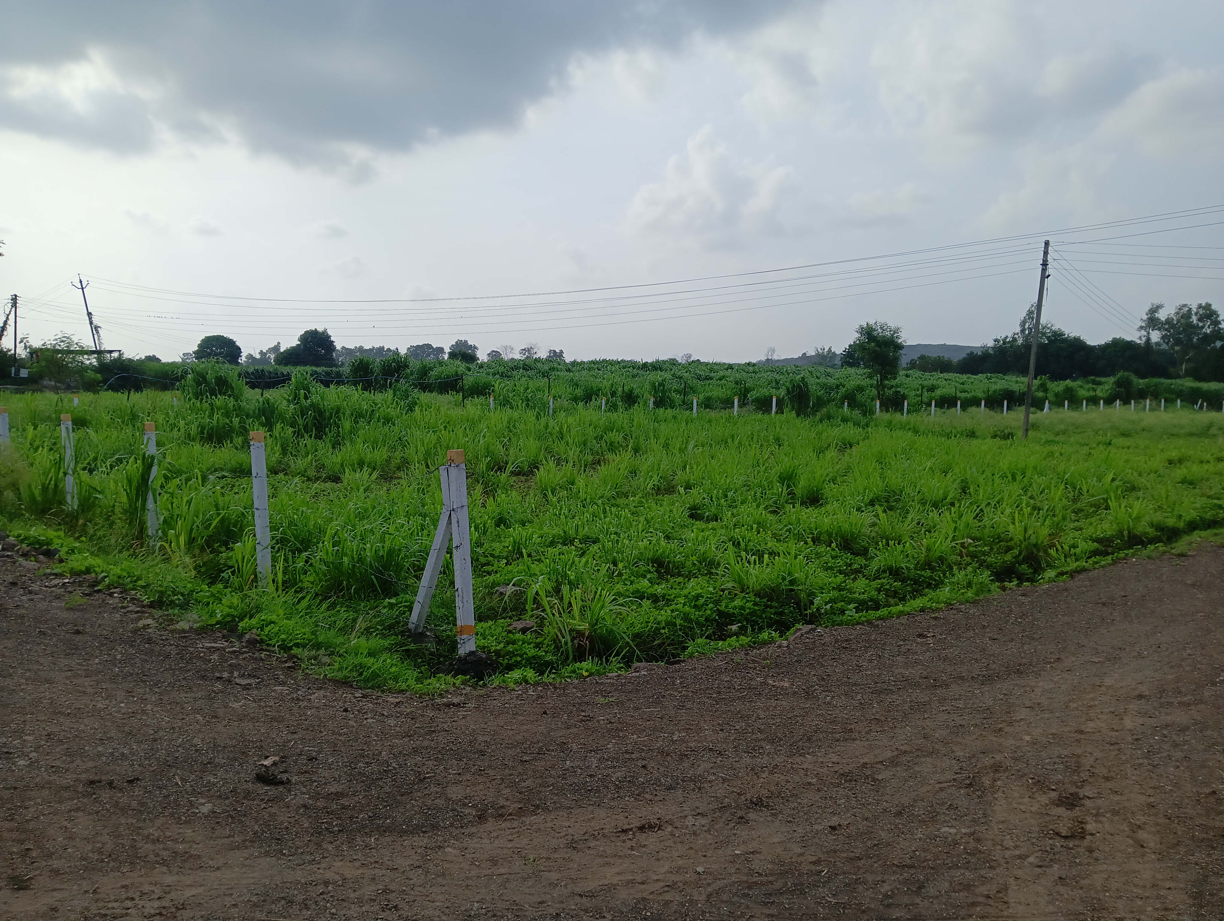 Plot For Sale in Riyan Estate