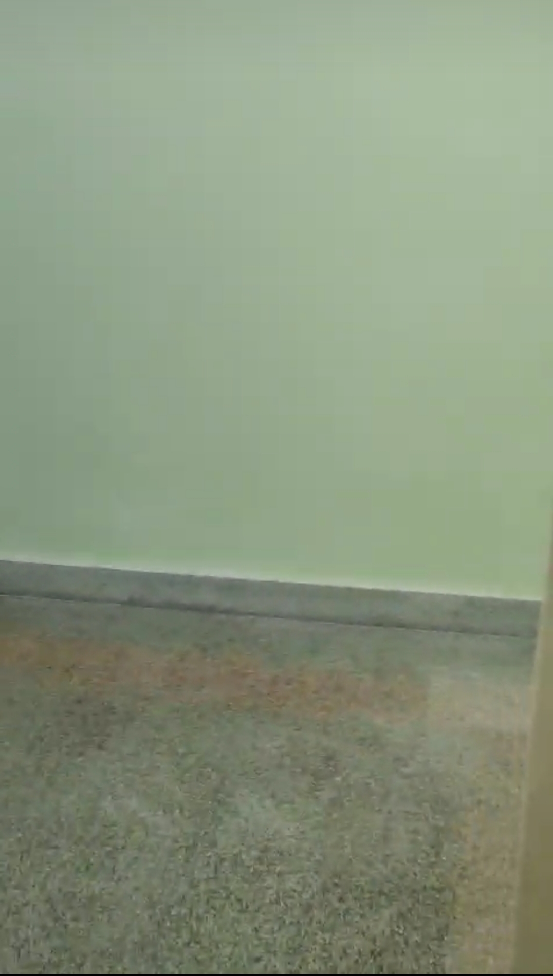 1 BHK Apartment For Rent in Matunga Vashudha CHS