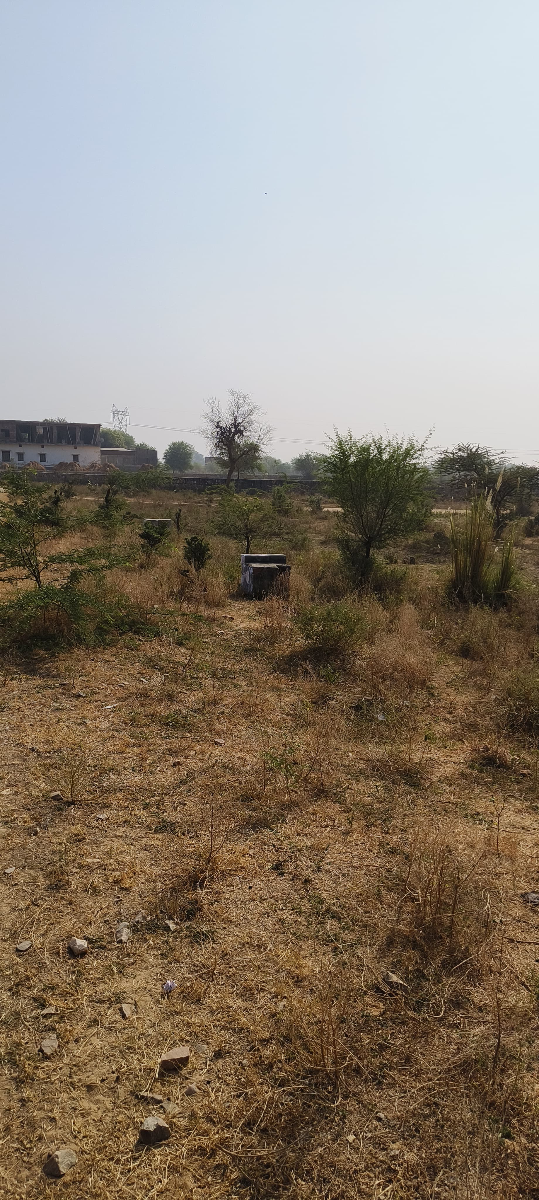 Plot For Sale in Shree Ram Enclave