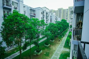 3 BHK Builder Floor – Exterior View View at Sare Home, Sector 92 - for Sale