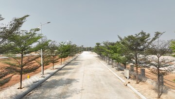 Plot Area in  Plot at Medchal – for Sale