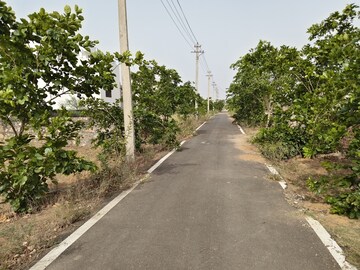  Plot – Exterior View View at Jagatpura - for Sale