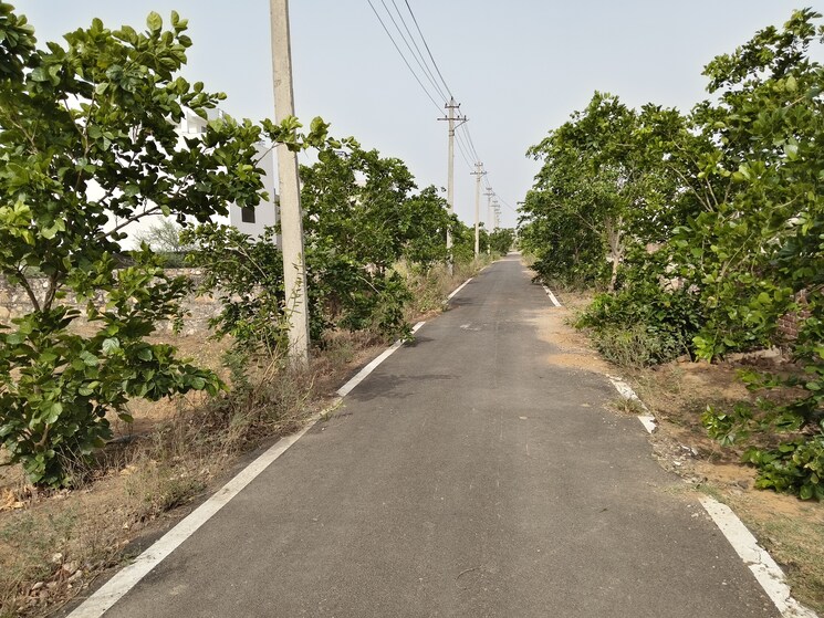 Exterior View, jda-nilay-kunj  180 Sq.Yd. Plot In Siroli Jaipur 8758622