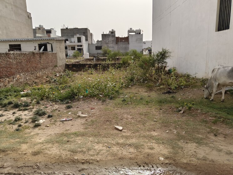 undefined, jagatpura  180 Sq.Yd. Plot In Jagatpura Jaipur 8758780