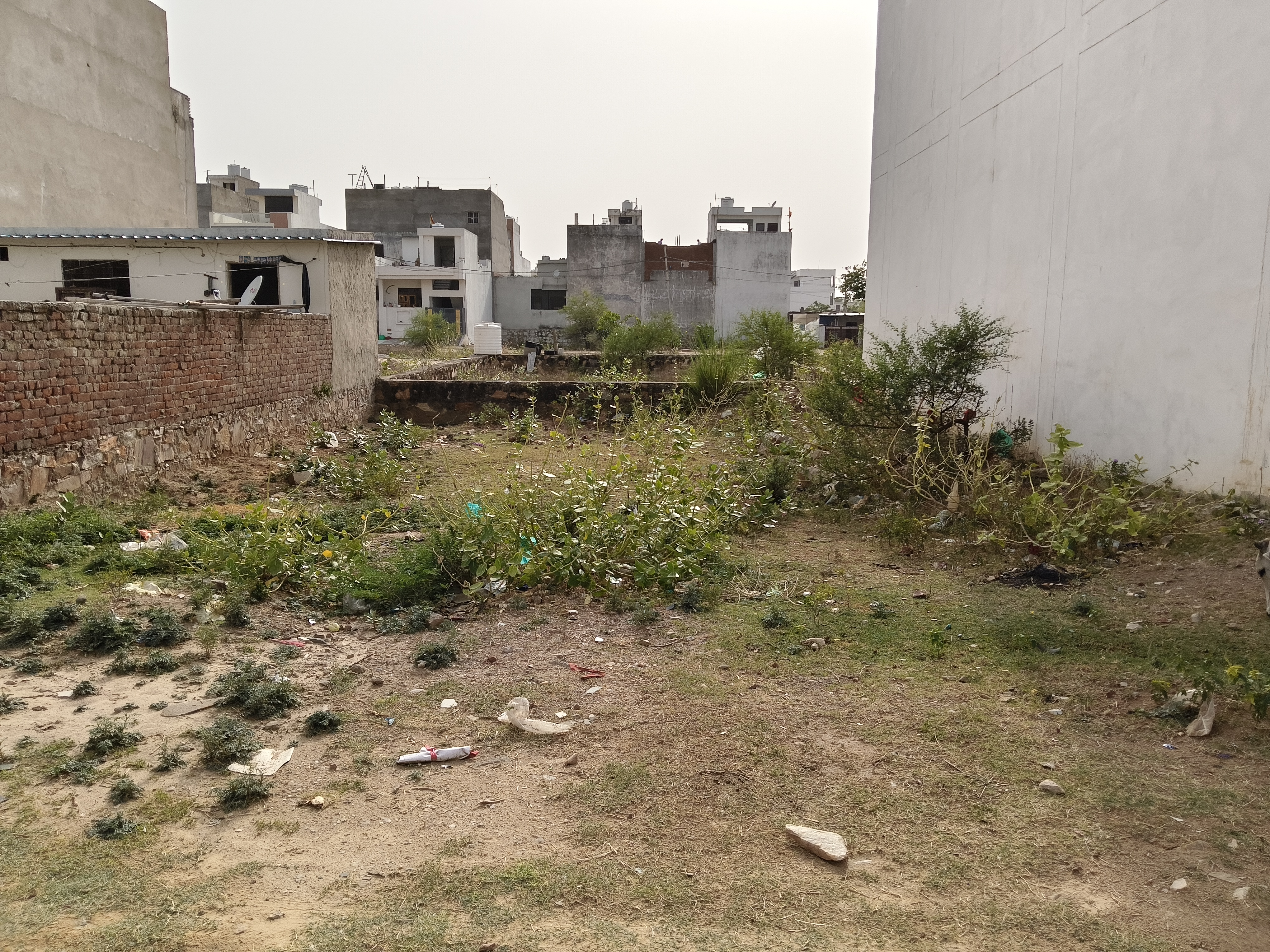 Plot For Sale in Xaivear Colony