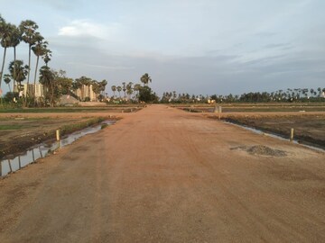 Plot Area in  Plot at Pamarru – for Sale
