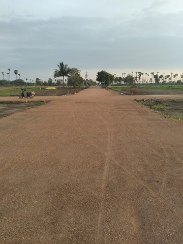  Plot For Sale in Pamarru