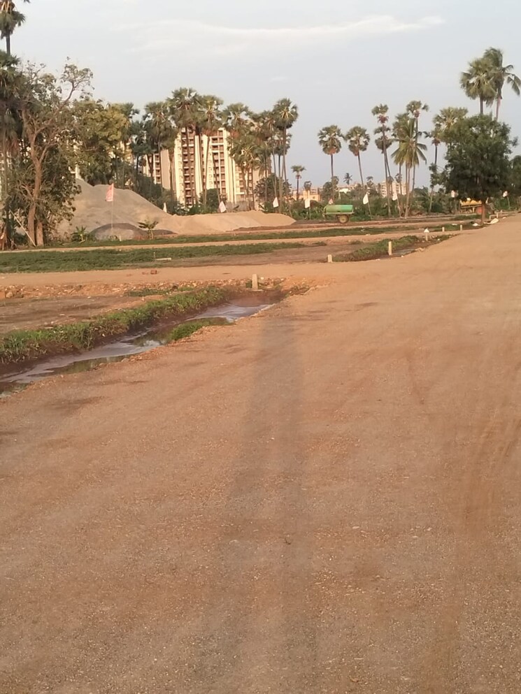 undefined, pamarru  183 Sq.Yd. Plot In Pamarru Vijayawada 8759011