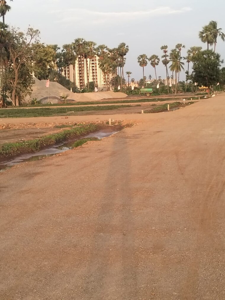 undefined, pamarru  183 Sq.Yd. Plot In Pamarru Vijayawada 8759011