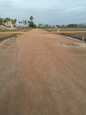 Plot Area in  Plot at Pamarru – for Sale