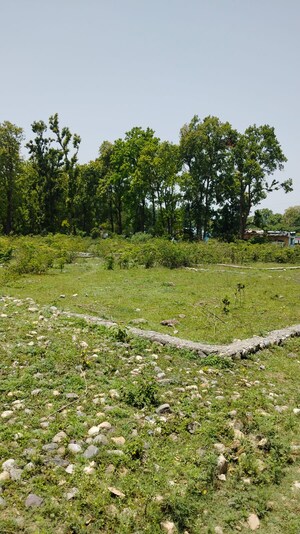 Plot Area in  Plot at Nanda Ki Chowki – for Sale