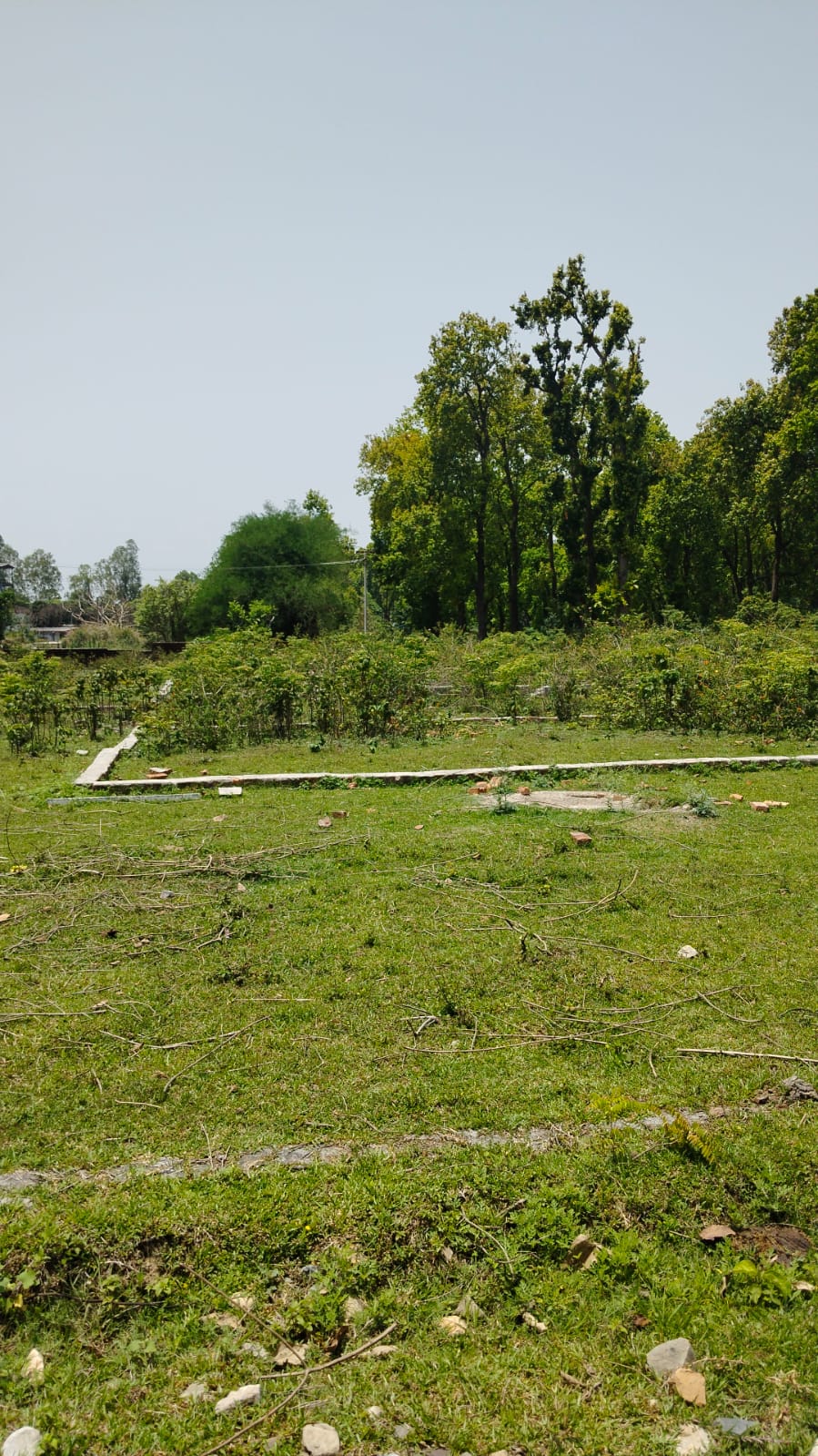 Plot For Sale in Nanda Ki Chowki