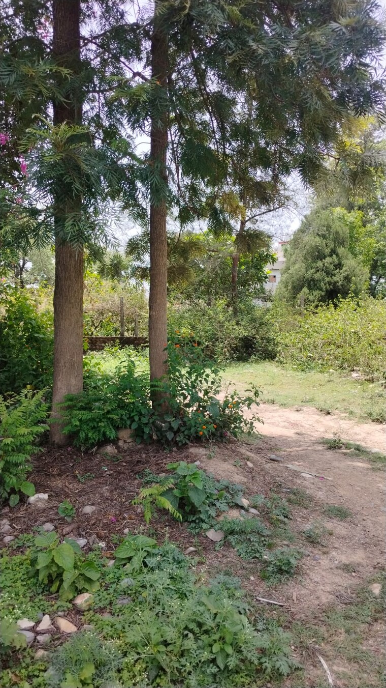 undefined, nanda ki chowki  184 Sq.Yd. Plot In Nanda Ki Chowki Dehradun 8759709