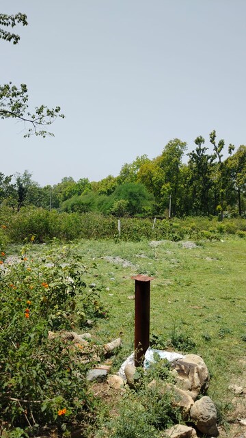 Plot Area in  Plot at Nanda Ki Chowki – for Sale