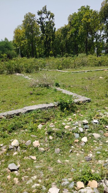 Plot Area in  Plot at Nanda Ki Chowki – for Sale