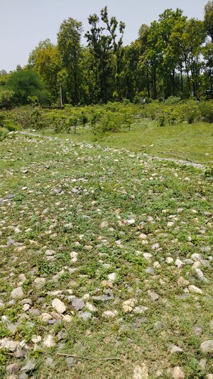  Plot – Garden View at Nanda Ki Chowki - for Sale