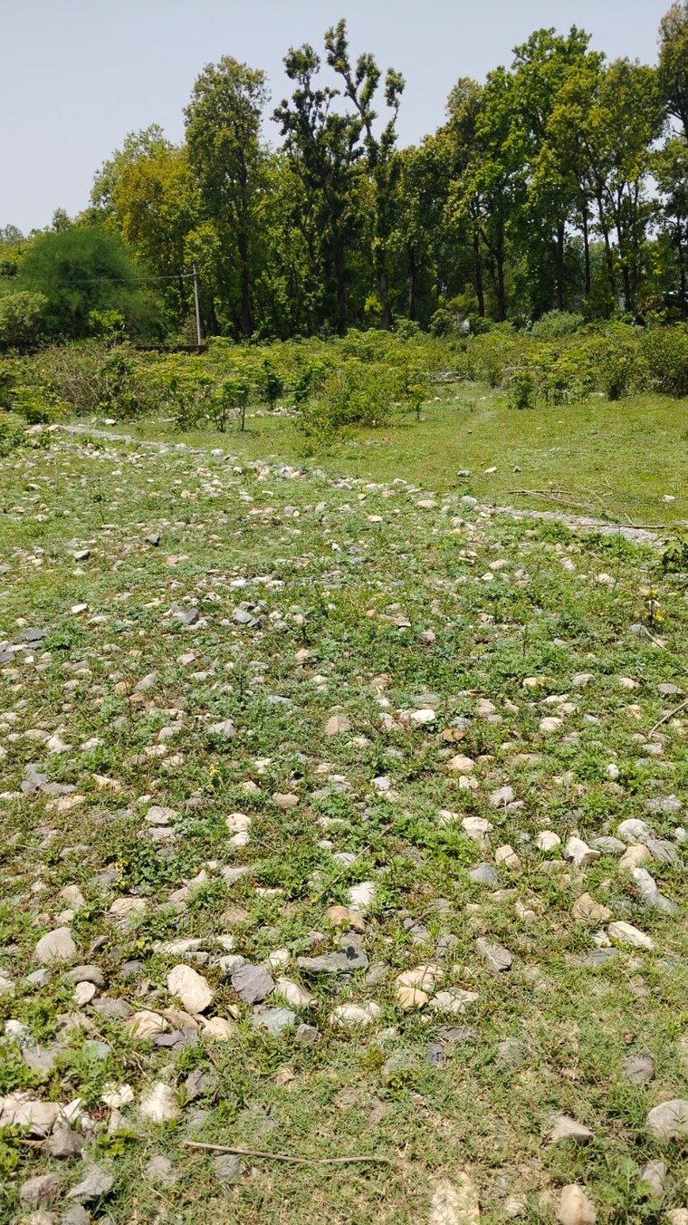 Garden, nanda ki chowki  184 Sq.Yd. Plot In Nanda Ki Chowki Dehradun 8759709