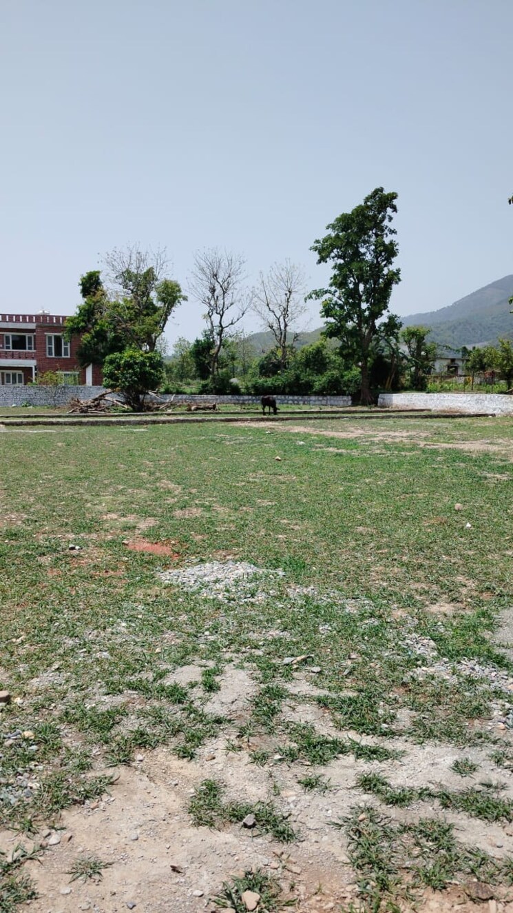 undefined, donga  777 Sq.Ft. Plot In Donga Dehradun 8759781