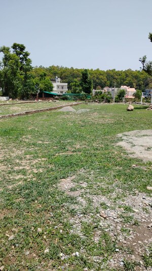 Plot Area in  Plot at Donga – for Sale