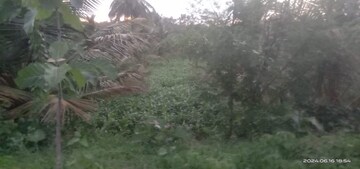 Plot Area in  Plot at Magadi Road – for Sale