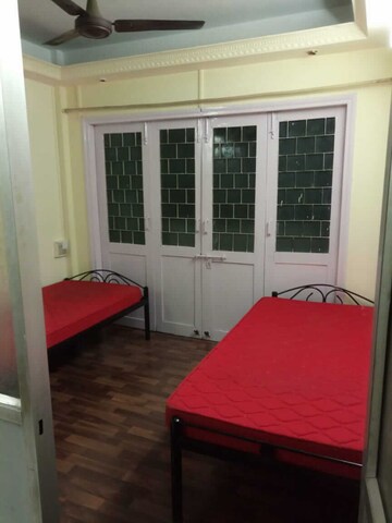  Pg For Rent in Rambaug Colony