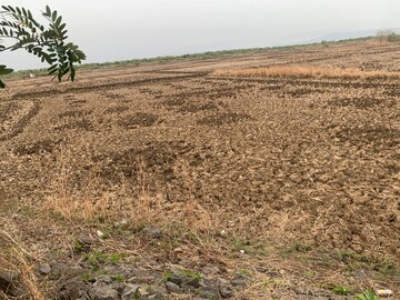 Plot Area in  Land at Dronagiri – for Sale