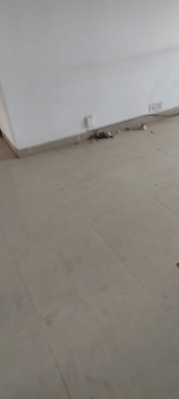 3 BHK Apartment For Sale in Adore Happy Homes Grand, Sector 85