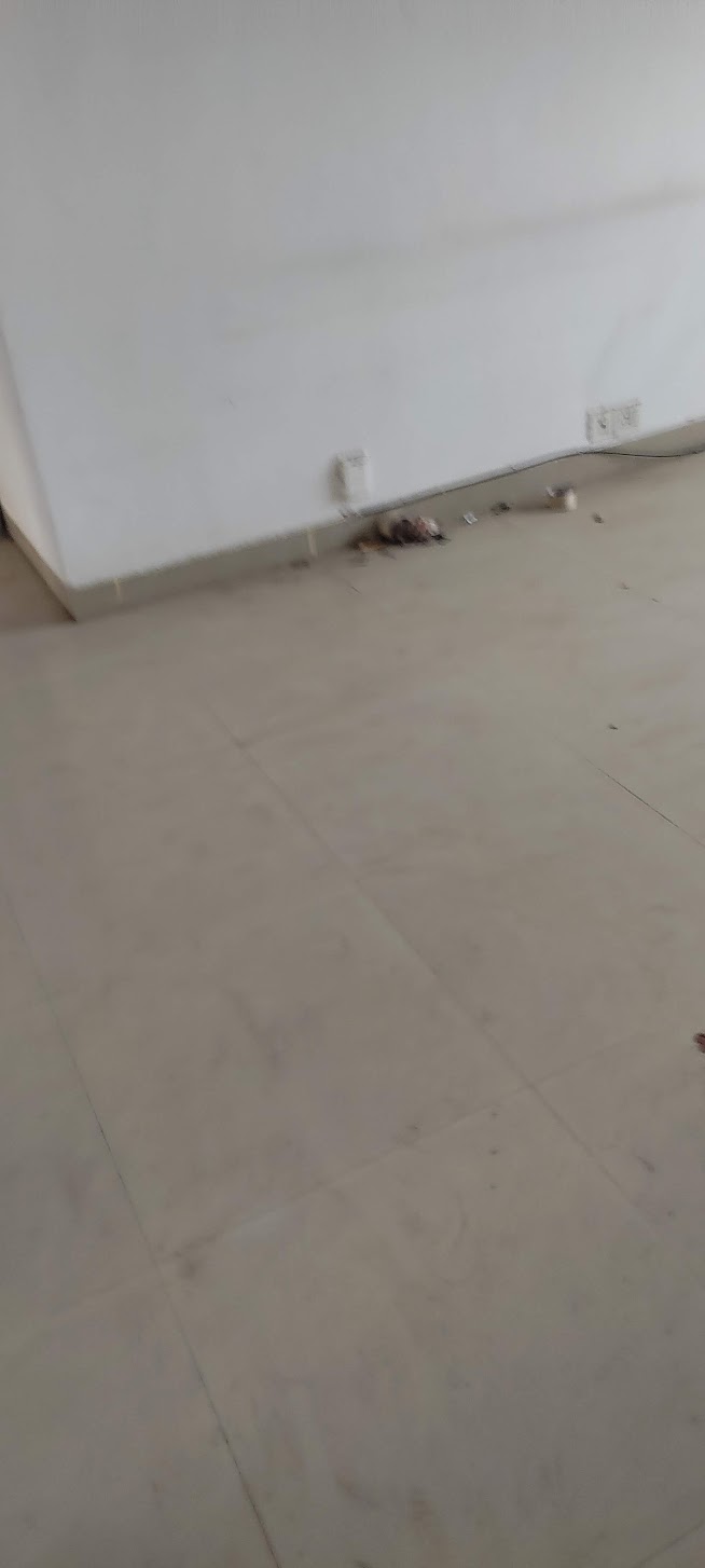 3 BHK Apartment For Sale in Adore Happy Homes Grand