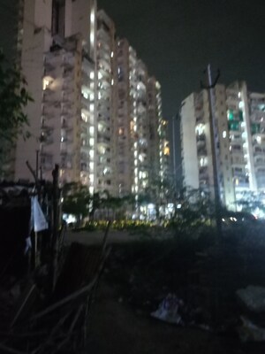 2 BHK Apartment For Sale in RAS Palm Residency, Sector 76