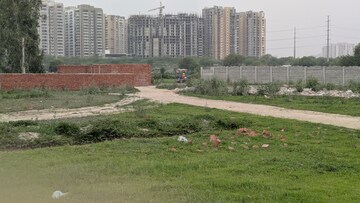Plot Area in  Plot at Sector 142 – for Sale