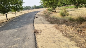  Land For Sale in Nigohan