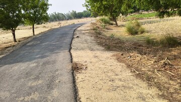  Land For Sale in Nigohan