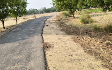 Land For Sale in Nigohan