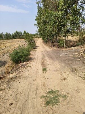  Land For Sale in Nawabganj