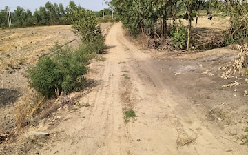 Land For Sale in Nawabganj