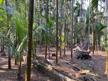  Plot – Garden View at Alibag - for Sale