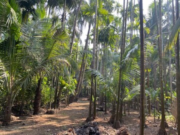  Plot – Garden View at Alibag - for Sale