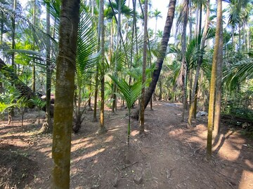  Plot – Garden View at Alibag - for Sale