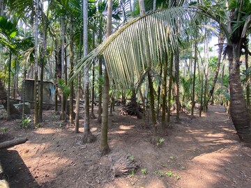 Plot Area in  Plot at Alibag – for Sale