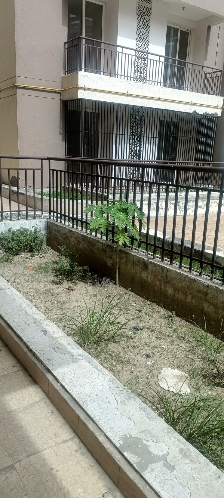 Balcony, amrapali-golf-homes 3 Bedroom 1595 Sq.Ft. Apartment In Sector 4 Greater Noida Greater Noida 8761552