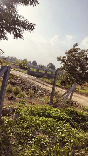  Plot For Sale in Mangaliya Sadak