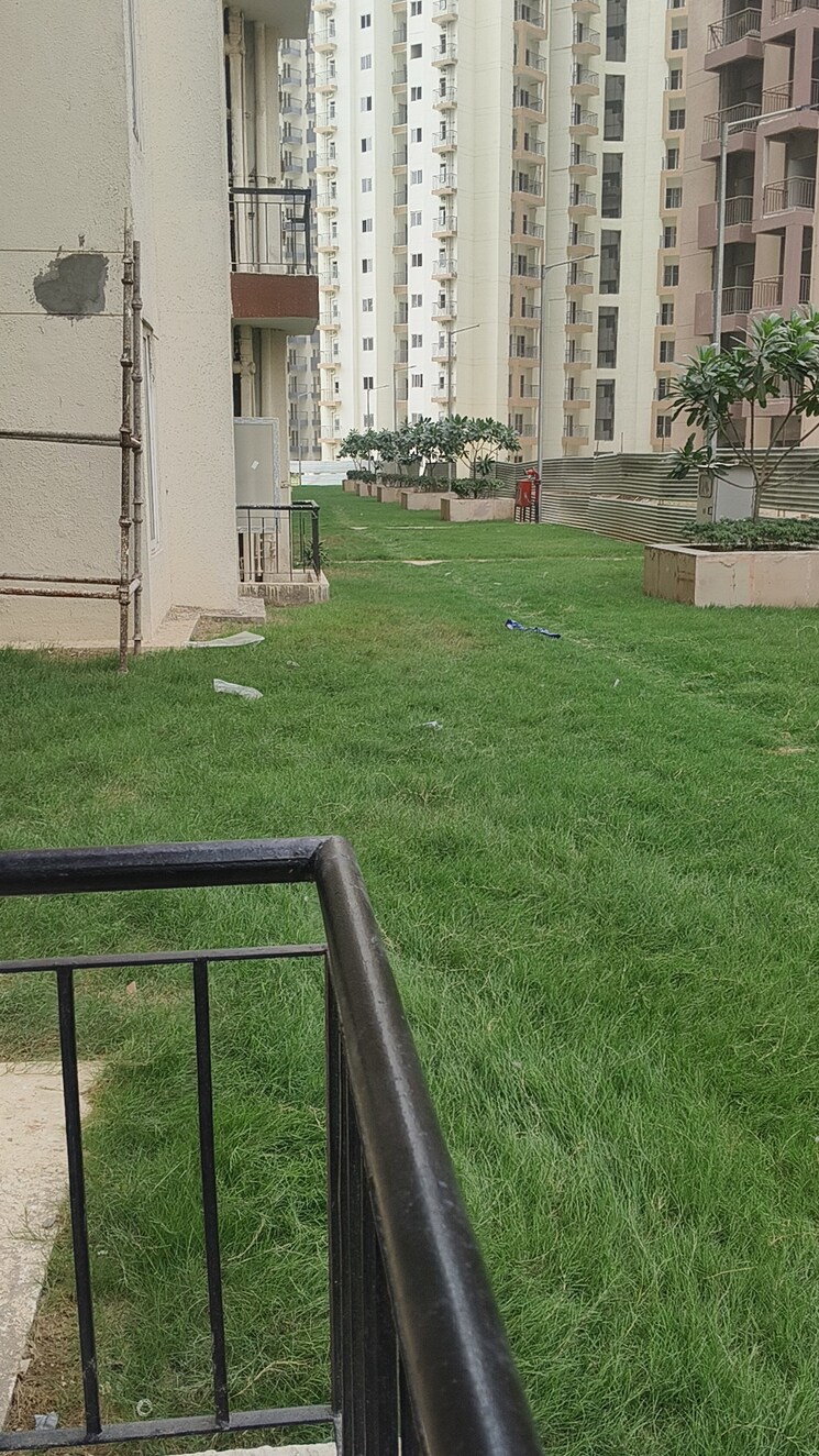Garden, amrapali-dream-valley 2.5 Bedroom 920 Sq.Ft. Apartment In Tech Zone 4 Greater Noida Greater Noida 8761719