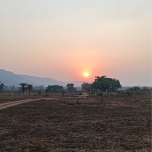  Plot For Sale in Paranjape Schemes Forest Trails, Bhugaon