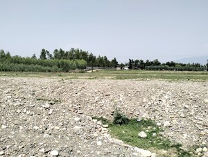 Plot Area in  Plot at Sahaspur – for Sale