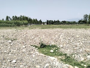 Plot Area in  Plot at Sahaspur – for Sale