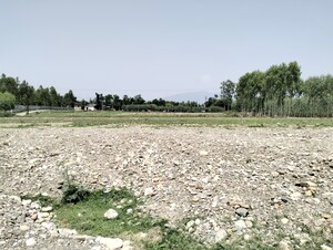 Plot Area in  Plot at Sahaspur – for Sale