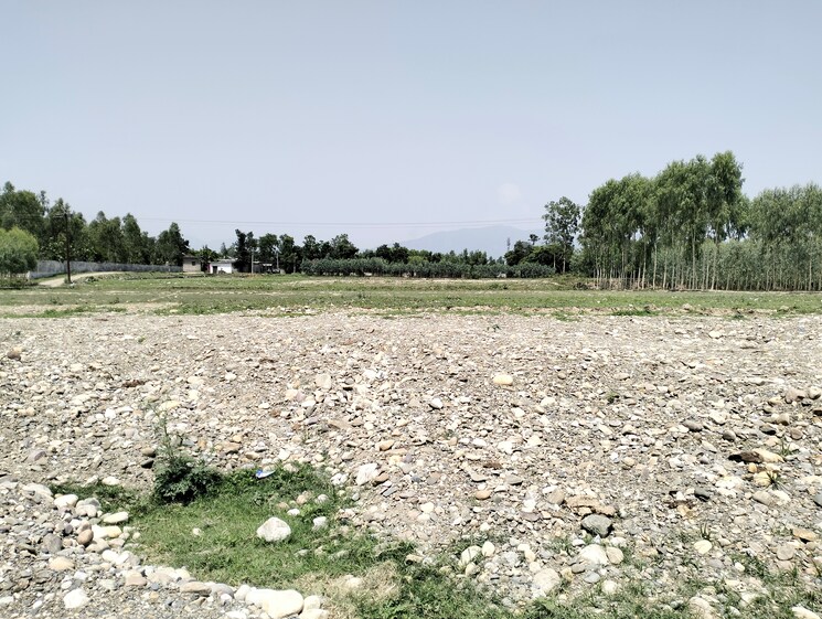 undefined, sahaspur  5000 Sq.Ft. Plot In Sahaspur Dehradun 8761861